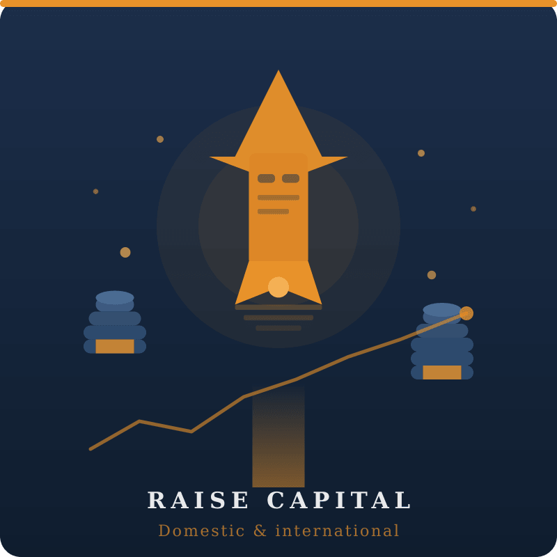 setu 01 raise capital